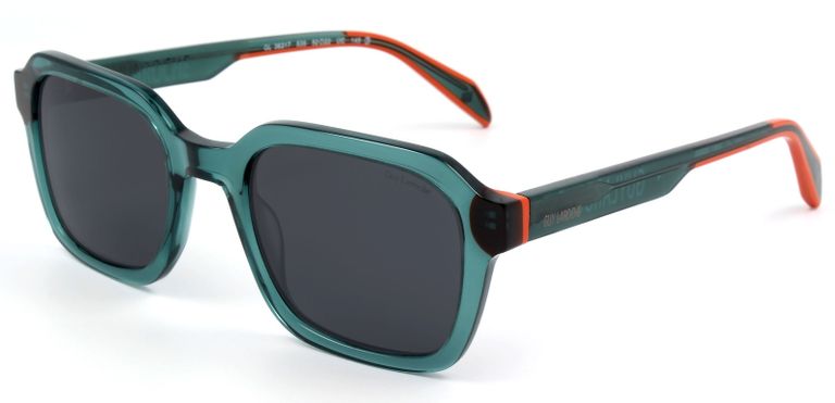 Centro Óptico Anton Guy Laroche